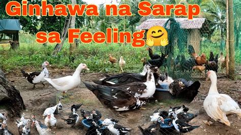 sarap iyotin|Ang Sarap Iyotin ng Aking Cousin.